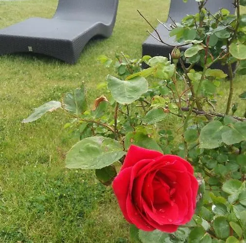 Hotel Des Thermes Et Du Casino