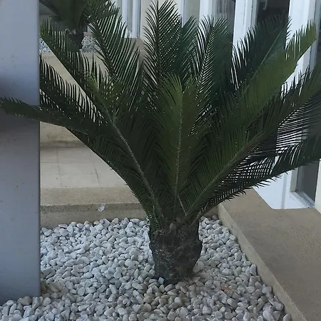 Des Thermes Et Du Casino Hotel