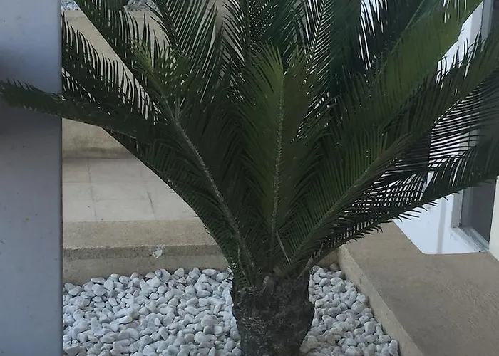 Des Thermes Et Du Casino Hotel